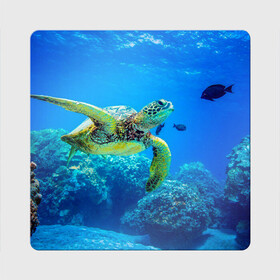 Магнит виниловый Квадрат с принтом Морская черепаха в Санкт-Петербурге, полимерный материал с магнитным слоем | размер 9*9 см, закругленные углы | Тематика изображения на принте: морская черепаха | океан | подводный мир | черепаха