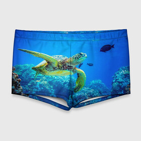 Мужские купальные плавки 3D с принтом Морская черепаха в Санкт-Петербурге, Полиэстер 85%, Спандекс 15% |  | морская черепаха | океан | подводный мир | черепаха