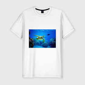 Мужская футболка хлопок Slim с принтом Морская черепаха в Санкт-Петербурге, 92% хлопок, 8% лайкра | приталенный силуэт, круглый вырез ворота, длина до линии бедра, короткий рукав | морская черепаха | океан | подводный мир | черепаха
