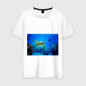 Мужская футболка хлопок с принтом Морская черепаха в Санкт-Петербурге, 100% хлопок | прямой крой, круглый вырез горловины, длина до линии бедер, слегка спущенное плечо. | Тематика изображения на принте: морская черепаха | океан | подводный мир | черепаха