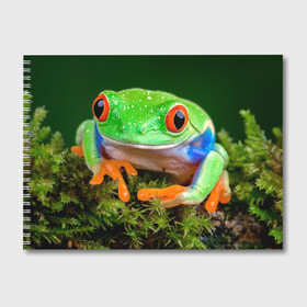 Альбом для рисования с принтом Тропическая лягушка в Санкт-Петербурге, 100% бумага
 | матовая бумага, плотность 200 мг. | зеленая лягушка | лягушка | тропики