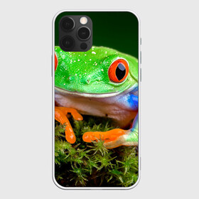 Чехол для iPhone 12 Pro Max с принтом Тропическая лягушка в Санкт-Петербурге, Силикон |  | зеленая лягушка | лягушка | тропики