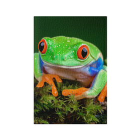 Обложка для паспорта матовая кожа с принтом Тропическая лягушка в Санкт-Петербурге, натуральная матовая кожа | размер 19,3 х 13,7 см; прозрачные пластиковые крепления | Тематика изображения на принте: зеленая лягушка | лягушка | тропики
