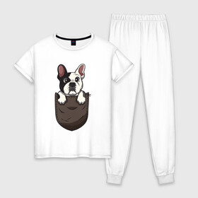 Женская пижама хлопок с принтом Карманный пёс в Санкт-Петербурге, 100% хлопок | брюки и футболка прямого кроя, без карманов, на брюках мягкая резинка на поясе и по низу штанин | бульдог | дог | карман | пес | собака