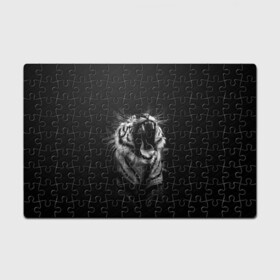 Головоломка Пазл магнитный 126 элементов с принтом Тигр рычит Tiger realistic в Санкт-Петербурге, полимерный материал с магнитным слоем | 126 деталей, размер изделия —  180*270 мм | furry | low poly | tiger | восточный тигр | год тигра | голова | кошка | лоу поли | тигр | тигренок | фурри | хищник