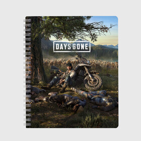 Тетрадь с принтом Days gone Дикон и толпа фриков в Санкт-Петербурге, 100% бумага | 48 листов, плотность листов — 60 г/м2, плотность картонной обложки — 250 г/м2. Листы скреплены сбоку удобной пружинной спиралью. Уголки страниц и обложки скругленные. Цвет линий — светло-серый
 | action | animals | days gone | deacon | gamer | games | nextgen | pandemic | pc | player | playstation | ps 5 | steam | top | valve | weapon | xbox | zombie | валв | видео игры | животные | жизнь после | зомби | игрок | иксбокс | некстген | оружи