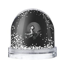 Игрушка Снежный шар с принтом Цой на концерте в Санкт-Петербурге, Пластик | Изображение внутри шара печатается на глянцевой фотобумаге с двух сторон | kino | rock | кино | музыкант | рок | русский рок | сой | тцой | цой
