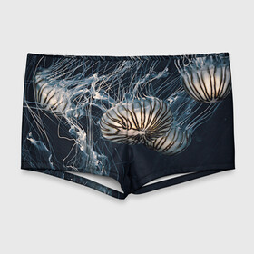 Мужские купальные плавки 3D с принтом Рисунок медуза в Санкт-Петербурге, Полиэстер 85%, Спандекс 15% |  | medusa | арт | животные | медузы | рисунок | рыбы | щупальца