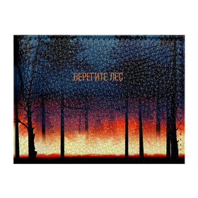 Обложка для студенческого билета с принтом Берегите лес в Санкт-Петербурге, натуральная кожа | Размер: 11*8 см; Печать на всей внешней стороне | арт | графика | деревья | лес | огонь | пожар | природа