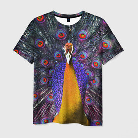 Мужская футболка 3D с принтом Павлин в Санкт-Петербурге, 100% полиэфир | прямой крой, круглый вырез горловины, длина до линии бедер | peacock | peafowl | plumage | оперение | павлин