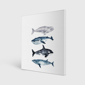 Холст квадратный с принтом киты в Санкт-Петербурге, 100% ПВХ |  | ocean | orca | sea | sea animal | whale | белуха | дельфин | касатка | кит | море | океан | рисунок кита | синий кит