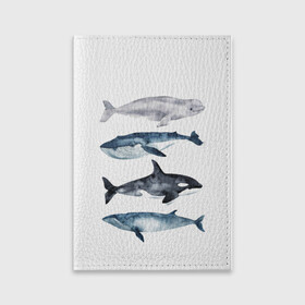 Обложка для паспорта матовая кожа с принтом киты в Санкт-Петербурге, натуральная матовая кожа | размер 19,3 х 13,7 см; прозрачные пластиковые крепления | ocean | orca | sea | sea animal | whale | белуха | дельфин | касатка | кит | море | океан | рисунок кита | синий кит