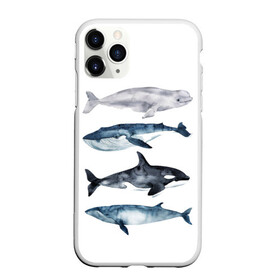 Чехол для iPhone 11 Pro матовый с принтом киты в Санкт-Петербурге, Силикон |  | ocean | orca | sea | sea animal | whale | белуха | дельфин | касатка | кит | море | океан | рисунок кита | синий кит