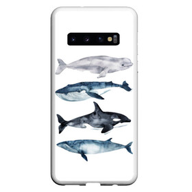 Чехол для Samsung Galaxy S10 с принтом киты в Санкт-Петербурге, Силикон | Область печати: задняя сторона чехла, без боковых панелей | ocean | orca | sea | sea animal | whale | белуха | дельфин | касатка | кит | море | океан | рисунок кита | синий кит