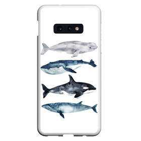 Чехол для Samsung S10E с принтом киты в Санкт-Петербурге, Силикон | Область печати: задняя сторона чехла, без боковых панелей | ocean | orca | sea | sea animal | whale | белуха | дельфин | касатка | кит | море | океан | рисунок кита | синий кит