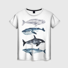 Женская футболка 3D с принтом киты в Санкт-Петербурге, 100% полиэфир ( синтетическое хлопкоподобное полотно) | прямой крой, круглый вырез горловины, длина до линии бедер | ocean | orca | sea | sea animal | whale | белуха | дельфин | касатка | кит | море | океан | рисунок кита | синий кит