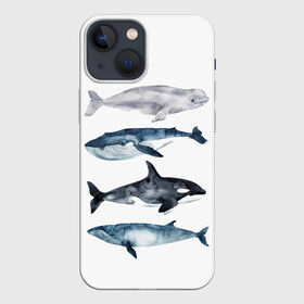 Чехол для iPhone 13 mini с принтом киты в Санкт-Петербурге,  |  | ocean | orca | sea | sea animal | whale | белуха | дельфин | касатка | кит | море | океан | рисунок кита | синий кит