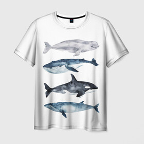 Мужская футболка 3D с принтом киты в Санкт-Петербурге, 100% полиэфир | прямой крой, круглый вырез горловины, длина до линии бедер | ocean | orca | sea | sea animal | whale | белуха | дельфин | касатка | кит | море | океан | рисунок кита | синий кит
