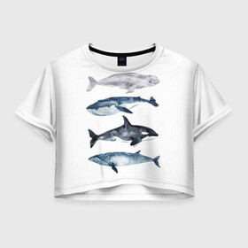 Женская футболка Crop-top 3D с принтом киты в Санкт-Петербурге, 100% полиэстер | круглая горловина, длина футболки до линии талии, рукава с отворотами | ocean | orca | sea | sea animal | whale | белуха | дельфин | касатка | кит | море | океан | рисунок кита | синий кит