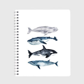 Тетрадь с принтом киты в Санкт-Петербурге, 100% бумага | 48 листов, плотность листов — 60 г/м2, плотность картонной обложки — 250 г/м2. Листы скреплены сбоку удобной пружинной спиралью. Уголки страниц и обложки скругленные. Цвет линий — светло-серый
 | ocean | orca | sea | sea animal | whale | белуха | дельфин | касатка | кит | море | океан | рисунок кита | синий кит