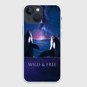 Чехол для iPhone 13 mini с принтом косатка в Санкт-Петербурге,  |  | ocean | orca | sea | sea animal | дельфин | касатка | кит | море | океан | рисунок кита