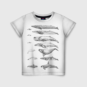 Детская футболка 3D с принтом киты графика в Санкт-Петербурге, 100% гипоаллергенный полиэфир | прямой крой, круглый вырез горловины, длина до линии бедер, чуть спущенное плечо, ткань немного тянется | Тематика изображения на принте: ocean | orca | sea | sea animal | whale | графика | дельфин | касатка | кит | море | океан | плакат | рисунок кита