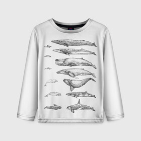 Детский лонгслив 3D с принтом киты графика в Санкт-Петербурге, 100% полиэстер | длинные рукава, круглый вырез горловины, полуприлегающий силуэт
 | ocean | orca | sea | sea animal | whale | графика | дельфин | касатка | кит | море | океан | плакат | рисунок кита