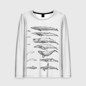 Женский лонгслив 3D с принтом киты графика в Санкт-Петербурге, 100% полиэстер | длинные рукава, круглый вырез горловины, полуприлегающий силуэт | ocean | orca | sea | sea animal | whale | графика | дельфин | касатка | кит | море | океан | плакат | рисунок кита