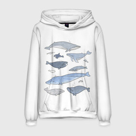 Мужская толстовка 3D с принтом киты в Санкт-Петербурге, 100% полиэстер | двухслойный капюшон со шнурком для регулировки, мягкие манжеты на рукавах и по низу толстовки, спереди карман-кенгуру с мягким внутренним слоем. | Тематика изображения на принте: ocean | orca | sea | sea animal | whale | графика | дельфин | иллюстрация | касатка | кит | море | океан | рисунок кита