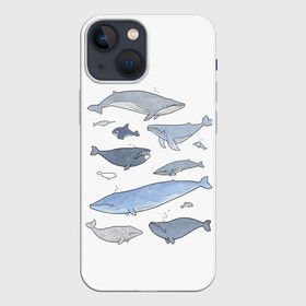 Чехол для iPhone 13 mini с принтом киты в Санкт-Петербурге,  |  | ocean | orca | sea | sea animal | whale | графика | дельфин | иллюстрация | касатка | кит | море | океан | рисунок кита