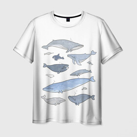 Мужская футболка 3D с принтом киты в Санкт-Петербурге, 100% полиэфир | прямой крой, круглый вырез горловины, длина до линии бедер | ocean | orca | sea | sea animal | whale | графика | дельфин | иллюстрация | касатка | кит | море | океан | рисунок кита
