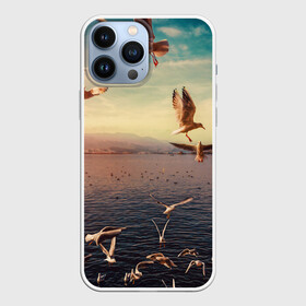 Чехол для iPhone 13 Pro Max с принтом Чайки на воде в Санкт-Петербурге,  |  | вода | горы | закат | море | море чайки | на воде | озеро | птица | птицу чайку | птицы | суша | чайка | чайка 2 | чайка птица | чайка чайку | чайки | чайки на воде | чайков | чайку 2