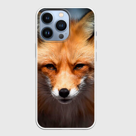 Чехол для iPhone 13 Pro с принтом Хитрая лисица в Санкт-Петербурге,  |  | fox | foxy | животное | звери | лиса | лисенок | лисичка | милая | рыжая | фокс