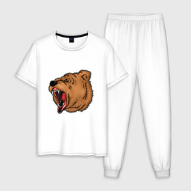 Мужская пижама хлопок с принтом Медведь в Санкт-Петербурге, 100% хлопок | брюки и футболка прямого кроя, без карманов, на брюках мягкая резинка на поясе и по низу штанин
 | бурый | животное | зверь | медведь | рык | свирепый