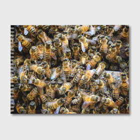 Альбом для рисования с принтом Пчёлы в Санкт-Петербурге, 100% бумага
 | матовая бумага, плотность 200 мг. | живность | животное | животные | насекомое | насекомые | пчела | пчёлка | пчёлки | пчёлы