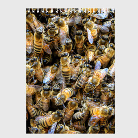 Скетчбук с принтом Пчёлы в Санкт-Петербурге, 100% бумага
 | 48 листов, плотность листов — 100 г/м2, плотность картонной обложки — 250 г/м2. Листы скреплены сверху удобной пружинной спиралью | живность | животное | животные | насекомое | насекомые | пчела | пчёлка | пчёлки | пчёлы