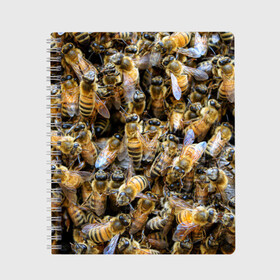 Тетрадь с принтом Пчёлы в Санкт-Петербурге, 100% бумага | 48 листов, плотность листов — 60 г/м2, плотность картонной обложки — 250 г/м2. Листы скреплены сбоку удобной пружинной спиралью. Уголки страниц и обложки скругленные. Цвет линий — светло-серый
 | живность | животное | животные | насекомое | насекомые | пчела | пчёлка | пчёлки | пчёлы