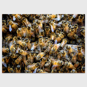 Поздравительная открытка с принтом Пчёлы в Санкт-Петербурге, 100% бумага | плотность бумаги 280 г/м2, матовая, на обратной стороне линовка и место для марки
 | живность | животное | животные | насекомое | насекомые | пчела | пчёлка | пчёлки | пчёлы