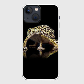 Чехол для iPhone 13 mini с принтом ЭУБЛЕФАР  EUBLEPHARIS в Санкт-Петербурге,  |  | tegunvteg | геккон | гекон | зублефар | леопардовый геккон | эу | эублефар | ящерица