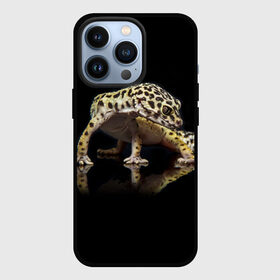 Чехол для iPhone 13 Pro с принтом ЭУБЛЕФАР  EUBLEPHARIS в Санкт-Петербурге,  |  | Тематика изображения на принте: tegunvteg | геккон | гекон | зублефар | леопардовый геккон | эу | эублефар | ящерица
