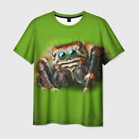 Мужская футболка 3D с принтом ПАУК ВБЛИЗИ в Санкт-Петербурге, 100% полиэфир | прямой крой, круглый вырез горловины, длина до линии бедер | tegunvteg | глаза | животные | макро | насекомые | паук | природа