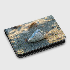 Картхолдер с принтом с принтом Морская ракушка в Санкт-Петербурге, натуральная матовая кожа | размер 7,3 х 10 см; кардхолдер имеет 4 кармана для карт; | морская | морские | песок | пляж | пляжный | ракушка | ракушки