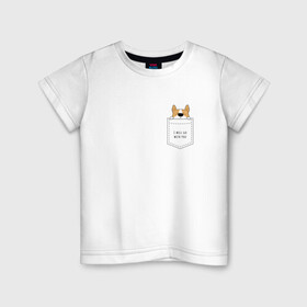 Детская футболка хлопок с принтом Корги в кармане_01 в Санкт-Петербурге, 100% хлопок | круглый вырез горловины, полуприлегающий силуэт, длина до линии бедер | corgi | dog | вельш корги | карман | корги | коржик | собака