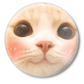 Значок с принтом Мем про котов в Санкт-Петербурге,  металл | круглая форма, металлическая застежка в виде булавки | Тематика изображения на принте: белый | кот | мем | милый | прикол