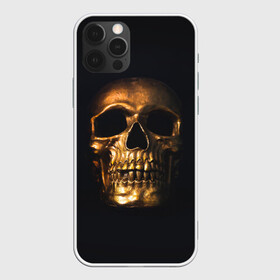 Чехол для iPhone 12 Pro с принтом Golden Skull в Санкт-Петербурге, силикон | область печати: задняя сторона чехла, без боковых панелей | golden | midas | skull | иллюстрация | черепа