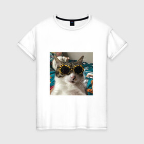 Женская футболка хлопок с принтом Мем про кота в Санкт-Петербурге, 100% хлопок | прямой крой, круглый вырез горловины, длина до линии бедер, слегка спущенное плечо | в очках | киса селфи | кот | мем | милый | прикол