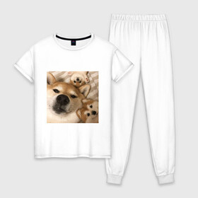 Женская пижама хлопок с принтом Мем про собак в Санкт-Петербурге, 100% хлопок | брюки и футболка прямого кроя, без карманов, на брюках мягкая резинка на поясе и по низу штанин | белый | игрушки мягкие | мем | милый | прикол | сиба ину | собака