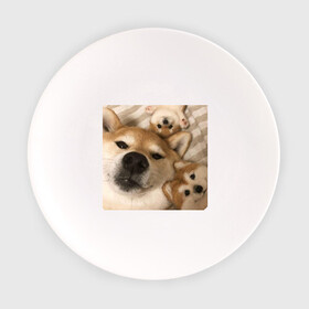 Тарелка с принтом Мем про собак в Санкт-Петербурге, фарфор | диаметр - 210 мм
диаметр для нанесения принта - 120 мм | Тематика изображения на принте: белый | игрушки мягкие | мем | милый | прикол | сиба ину | собака