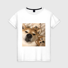 Женская футболка хлопок с принтом Мем про собак в Санкт-Петербурге, 100% хлопок | прямой крой, круглый вырез горловины, длина до линии бедер, слегка спущенное плечо | Тематика изображения на принте: белый | игрушки мягкие | мем | милый | прикол | сиба ину | собака