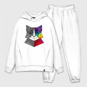 Мужской костюм хлопок OVERSIZE с принтом Color Cat в Санкт-Петербурге,  |  | animal | cat | cute | kitty | meow | друг | животные | киска | китти | кот | котенок | котик | котэ | кошечка | кошка | милый | мур | мяу | питомец